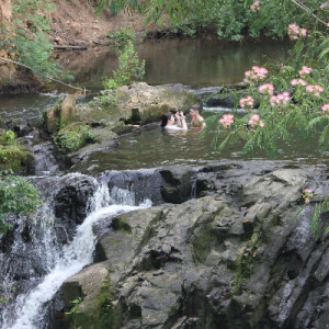 Savannah Rapids Park Waterfall