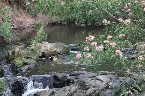 Savannah Rapids Park Waterfall