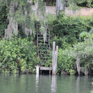 Savannah Rapids Park