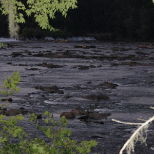 Savannah Rapids Park Nature