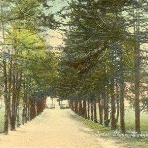 Road leading to The Cedars, now Cedar Avenue in Columbus, GA