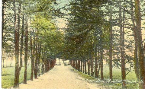 Road leading to The Cedars, now Cedar Avenue in Columbus, GA