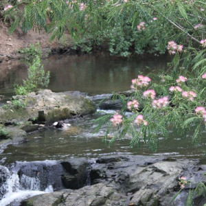 Savannah Rapids Park Waterfall