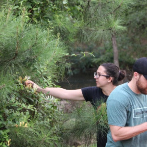 Savannah Rapids Park