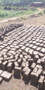  youths brick laying site