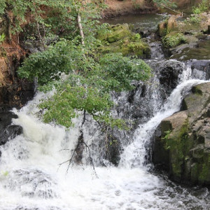 Savannah Rapids Park Waterfall