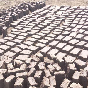  youths brick laying site