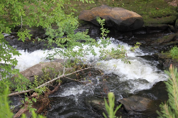 Savannah Rapids Park Waterfall