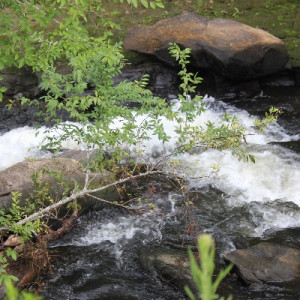 Savannah Rapids Park Waterfall